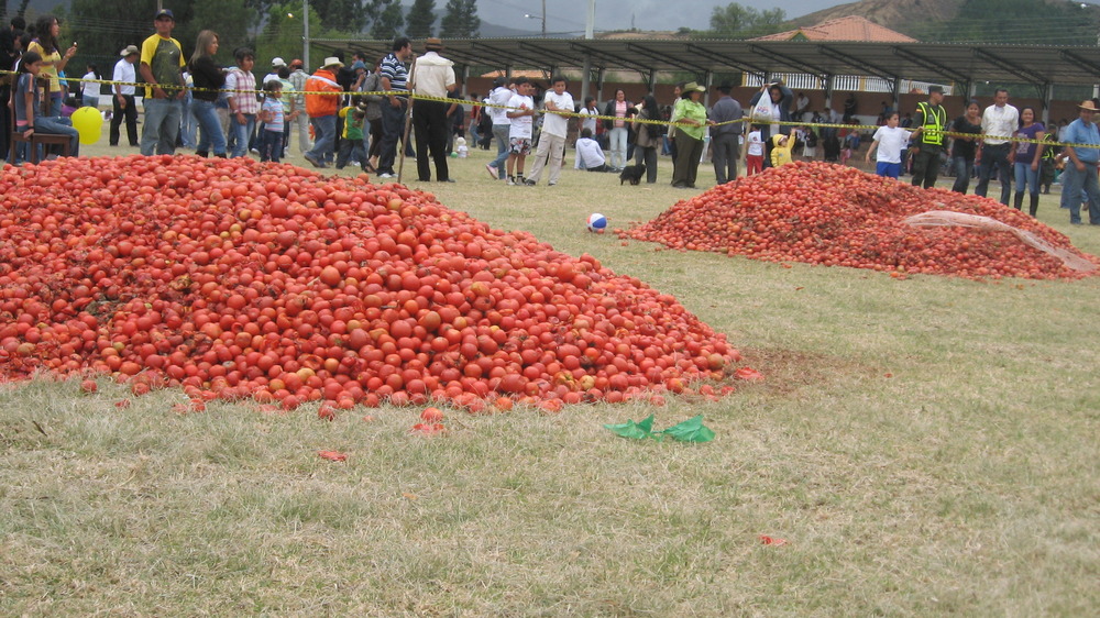 La Tomatina Festival