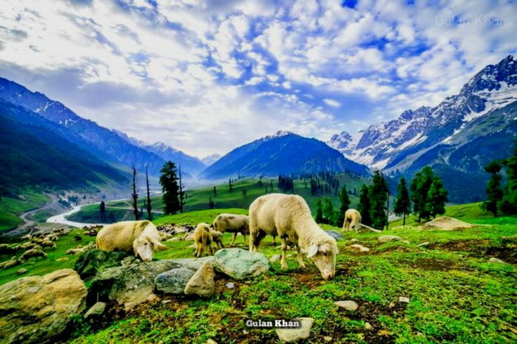 Jammu and Kashmir Map for tourists