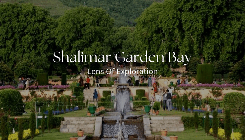 Shalimar Garden Bay Kashmir